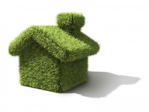 eco-friendly-home-renovation