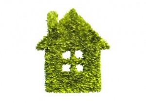 leaf-house